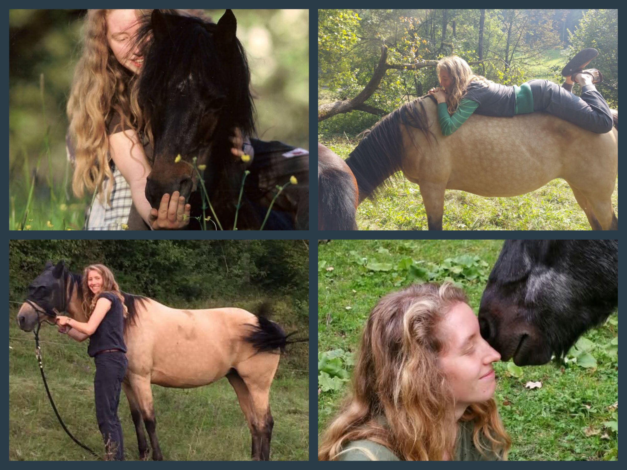 Fotos von links nach rechts/ oben nach  unten: 
Sabine Stuewer (stuewer-tierfoto.de)
Lena Erlmann
Miglena Abrasheva
Jan Löhr