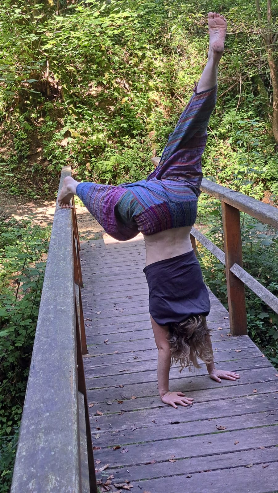 Foto von Winfried Rimbach-Sator